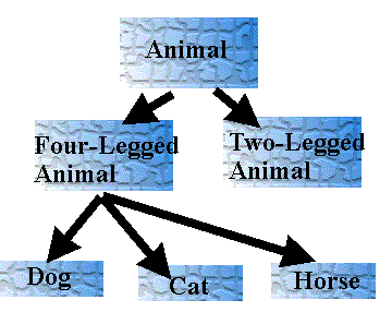 heirarch of animal classes