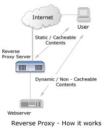 reverse proxy